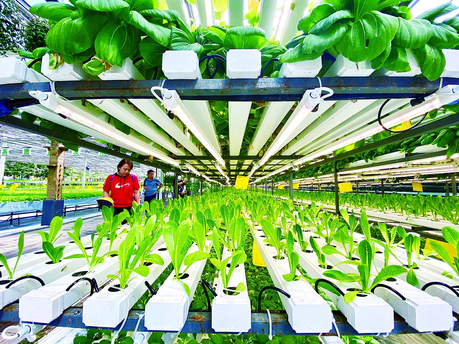 成都市苗床种植槽 - 价格