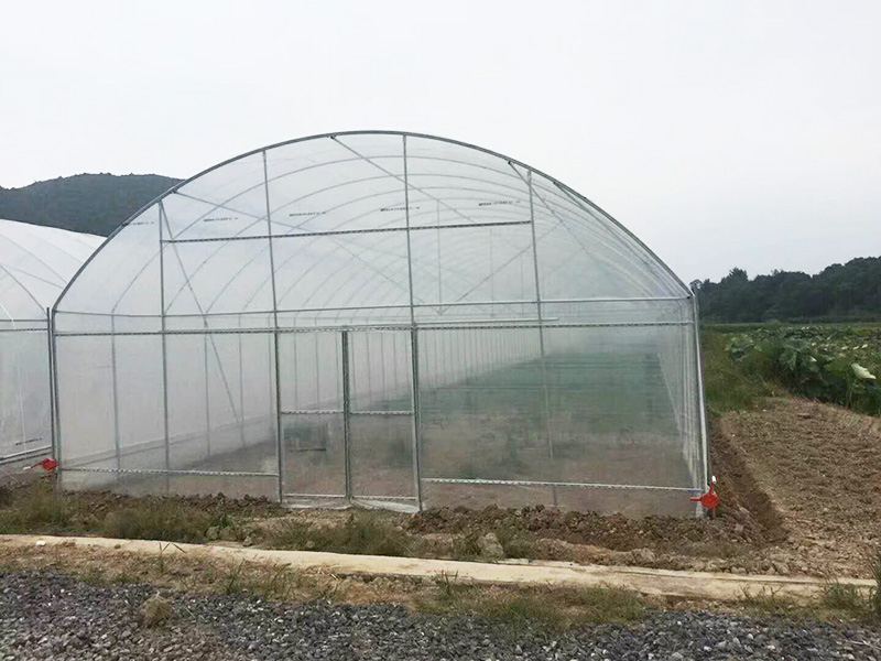 成都市薄膜大棚玻璃大棚 - 价格
